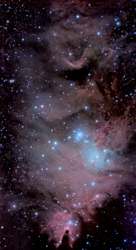 Karácsonyfa Köd (NGC2264)