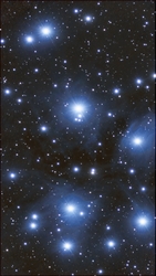 Fiastyúk (M45)