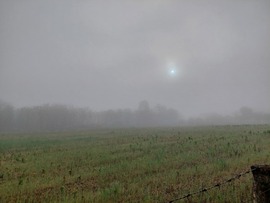 Ladánybene