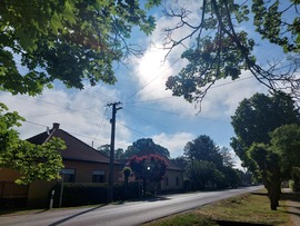Ladánybene