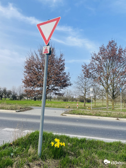 Az utca kedvessége!:)