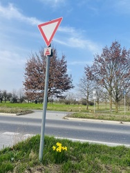 Az utca kedvessége!:)