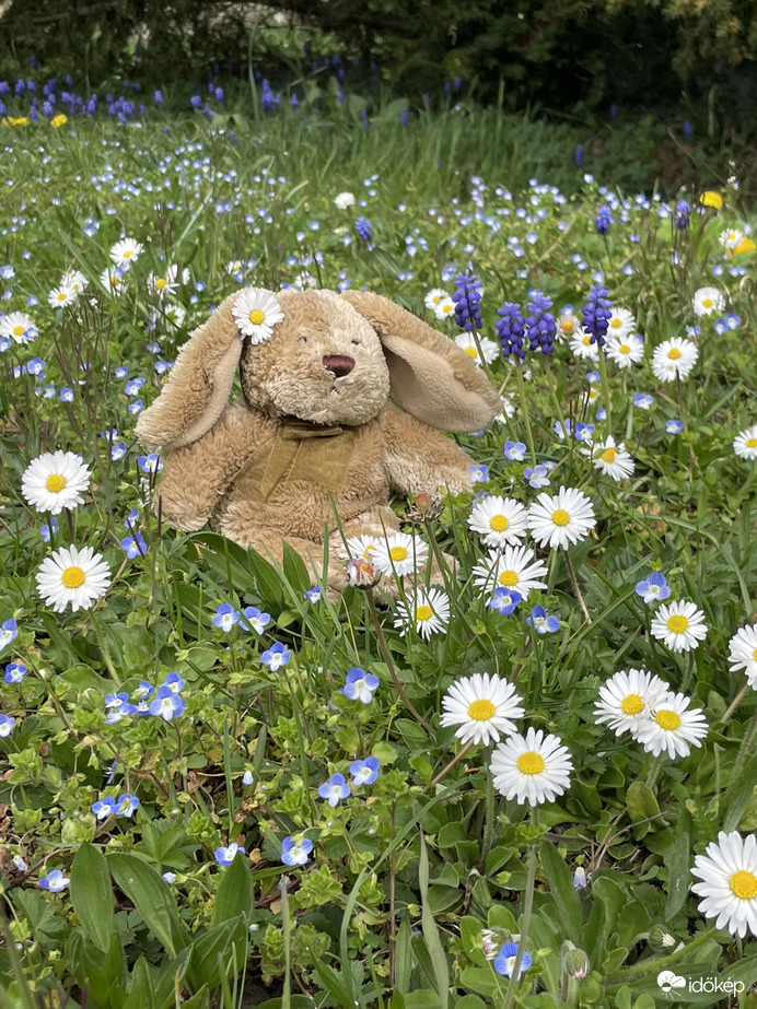 Áldott Húsvéti ünnepeket!