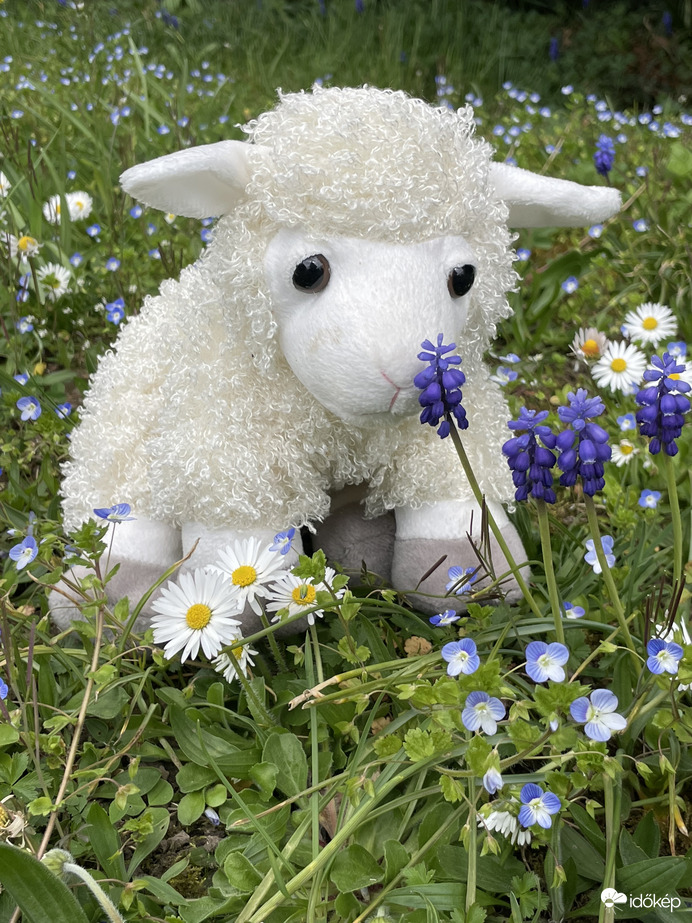 Kellemes ünnepeket mindenkinek! 