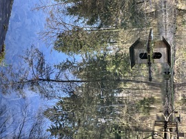 Mikor mese valóra válik:)