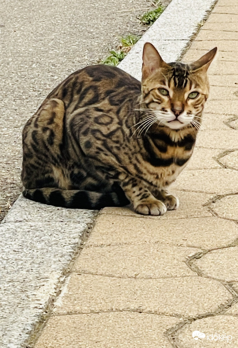 Útközben találkoztunk! :)