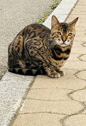 Útközben találkoztunk! :)