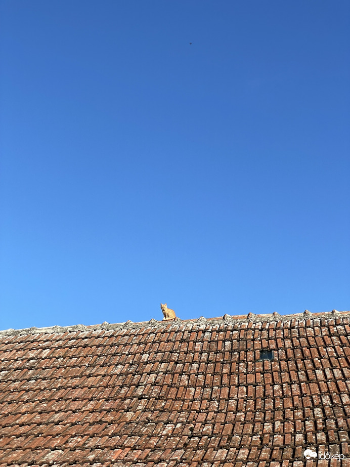 A legcukibb dísz! :))