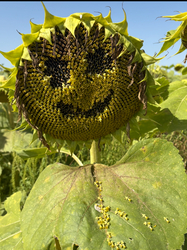 Egy kis nyári emlék ebben a hidegben:)