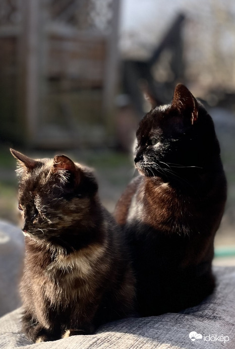 Jöhetnének már… éhesek vagyunk…