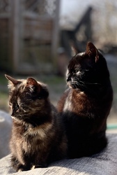 Jöhetnének már… éhesek vagyunk…