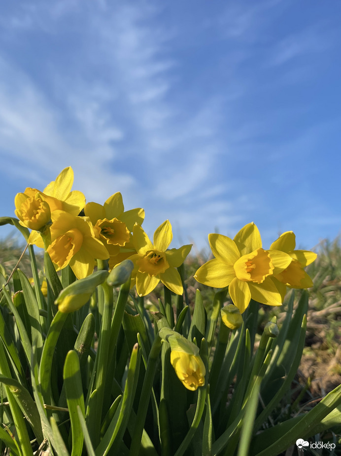 Tavasz:)