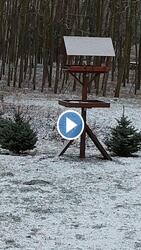 A madarak karácsonya