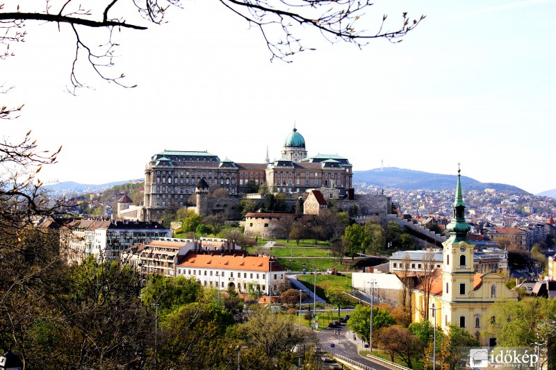 Budai vár