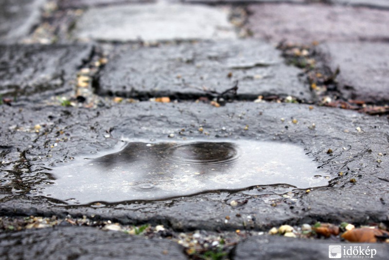 Rainfalls
