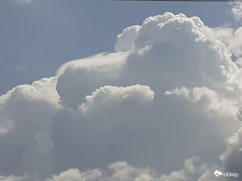 Még mindig pileus!!!