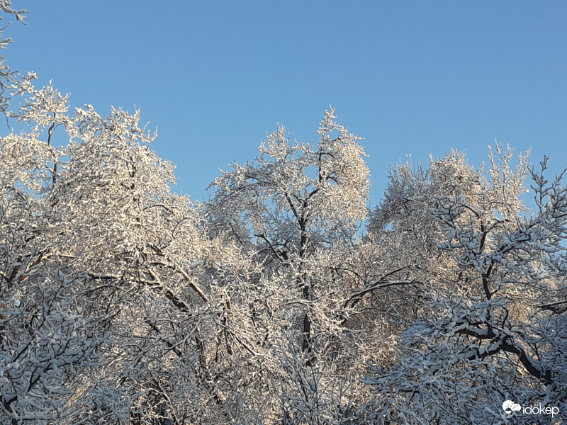Napfényes, téli reggel!:))
