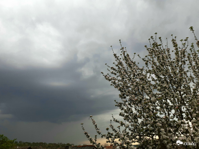 Így érkezett, jobban mondva került el!:))