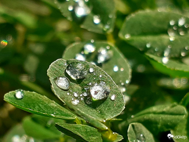 Felfrissülés után