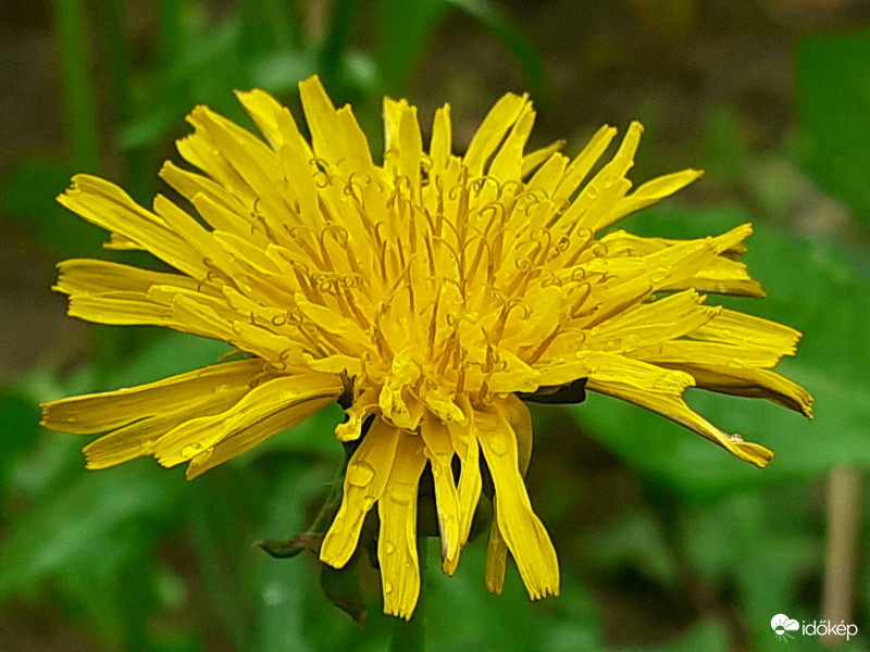 Pár perces zápor után...