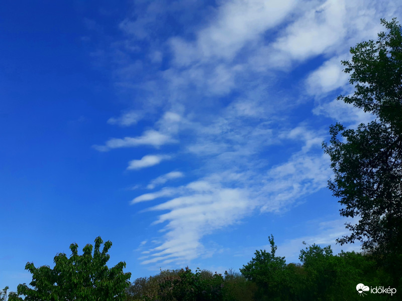 Altocumulus undulatus 2020.05.10.
