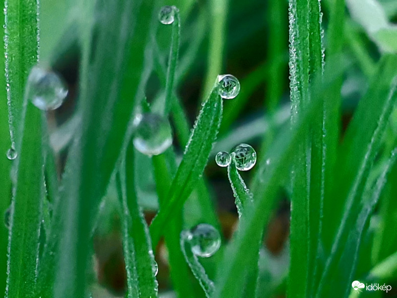 Májusi fagy 2020.05.13.