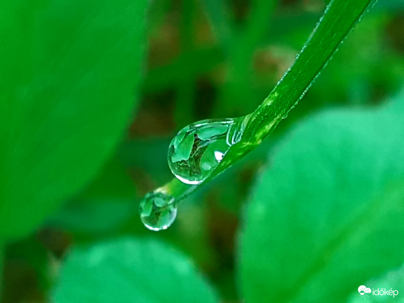 Talajmenti gyenge fagy, Tmin: 1.6°C