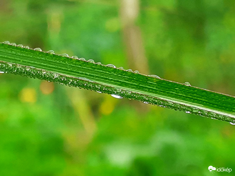 Ködös reggel után 2