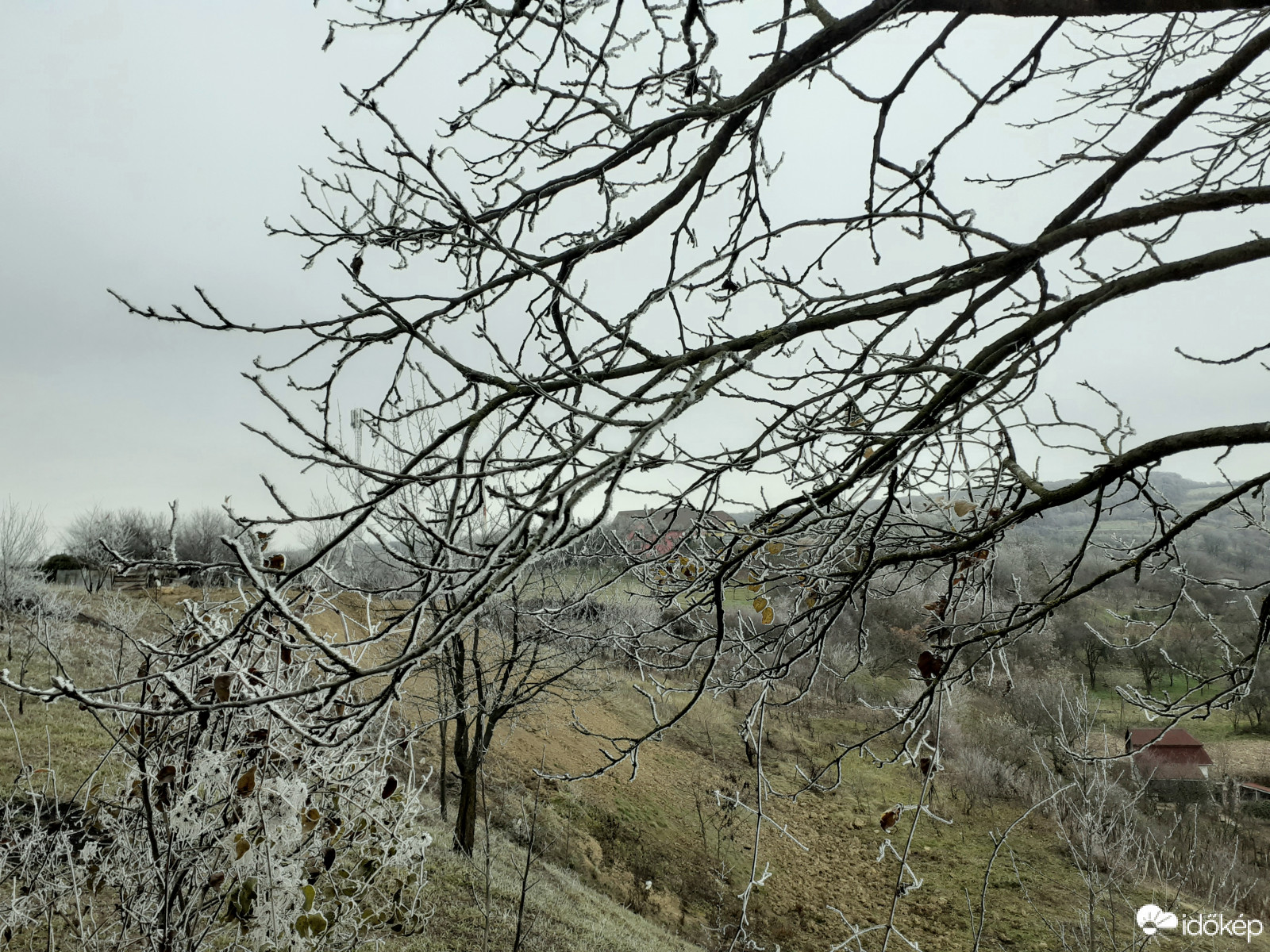 Zúzmara 2020.11.27. tszf. magasság 285 m