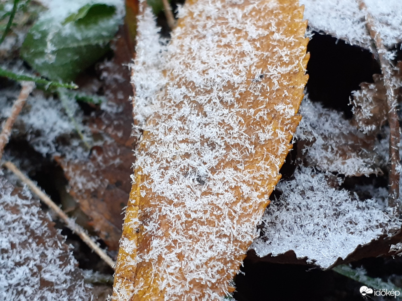 Havazás - 2020.11.28.