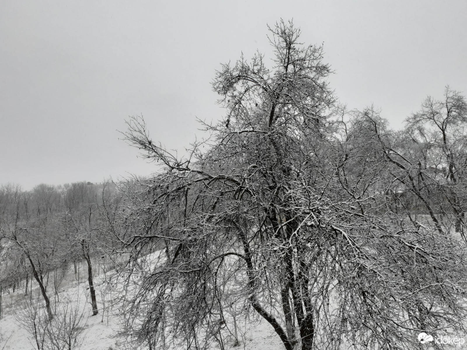 2 cm hullott eddig:))