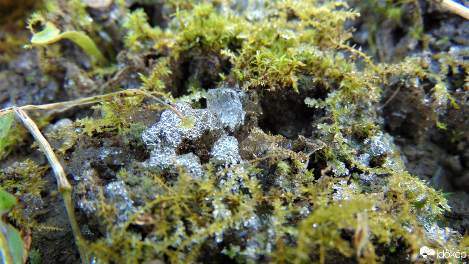 Első fagy az évben :)