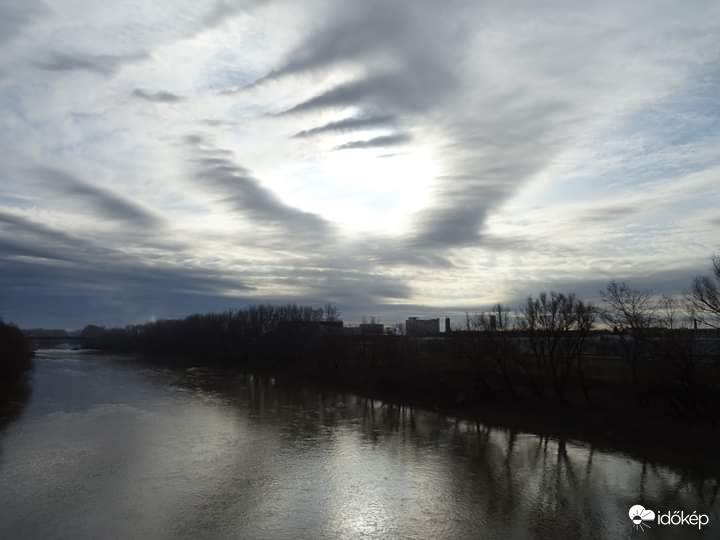 Undulatus2.