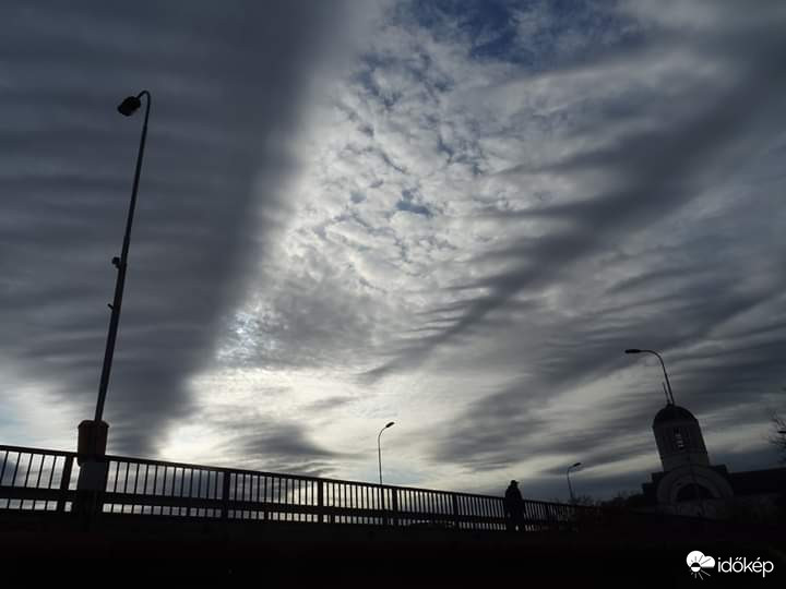 Undulatus1.