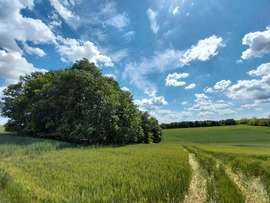 szupercella22 fotója