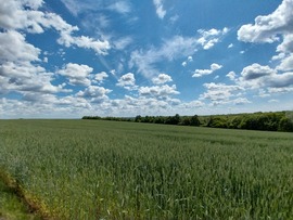 szupercella22 fotója