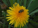 Itt a tavasz
