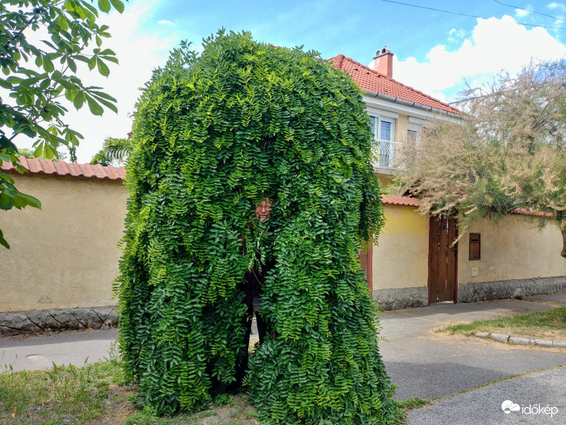 Budapest 15. kerület