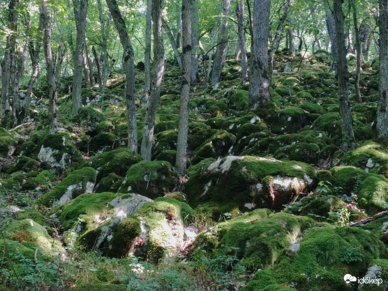 Szögliget