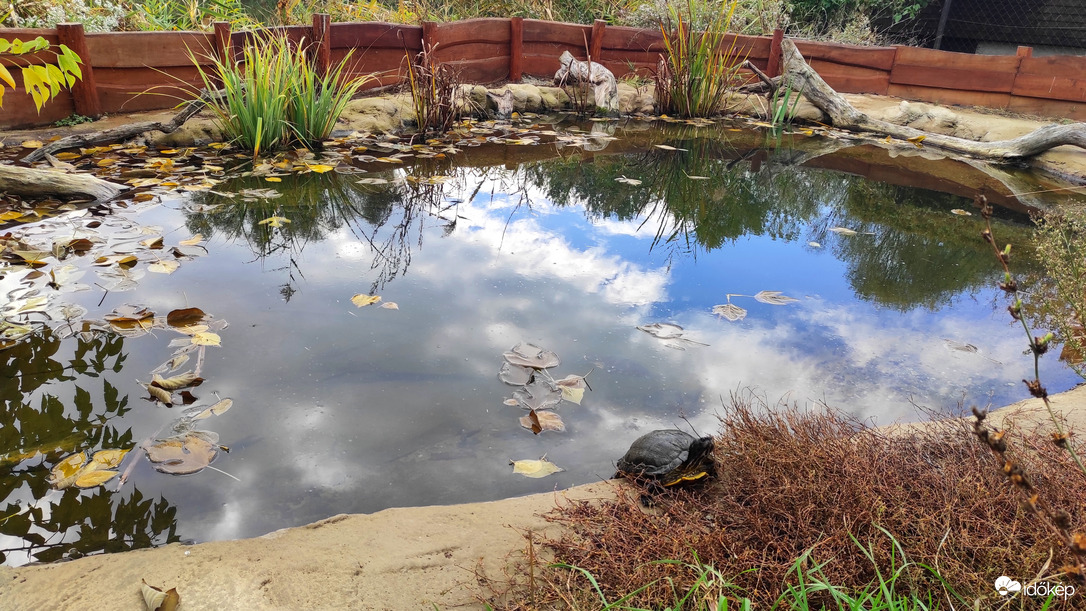 Állatsziget - Farkaserdő