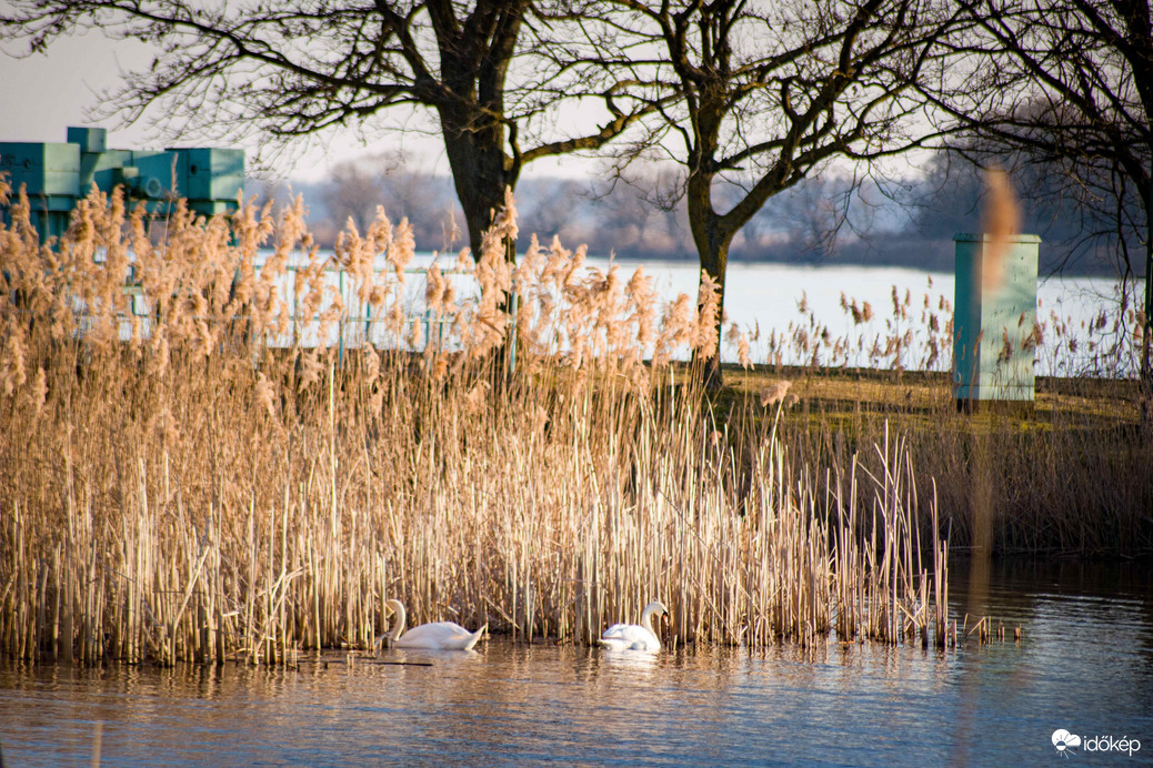 Kis-Balaton