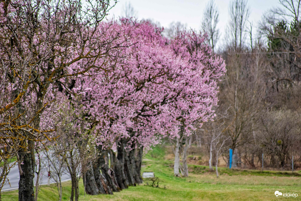 Balatongyörök 