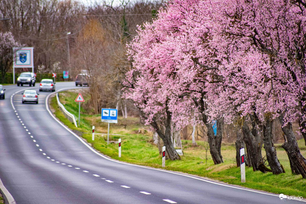 Balatongyörök 