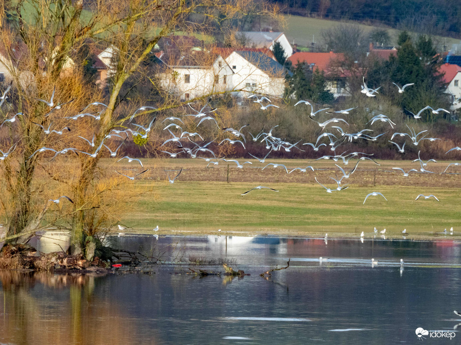 Belvíz kicsit más szemszögből!