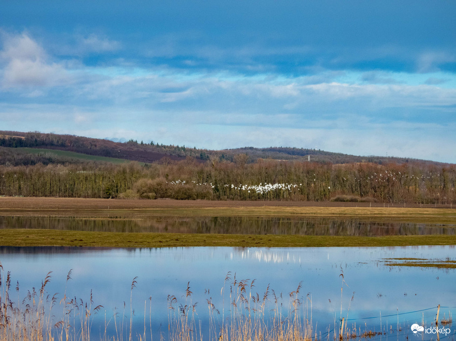 Belvíz kicsit más szemszögből!