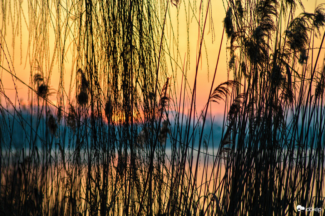 Kis-Balaton