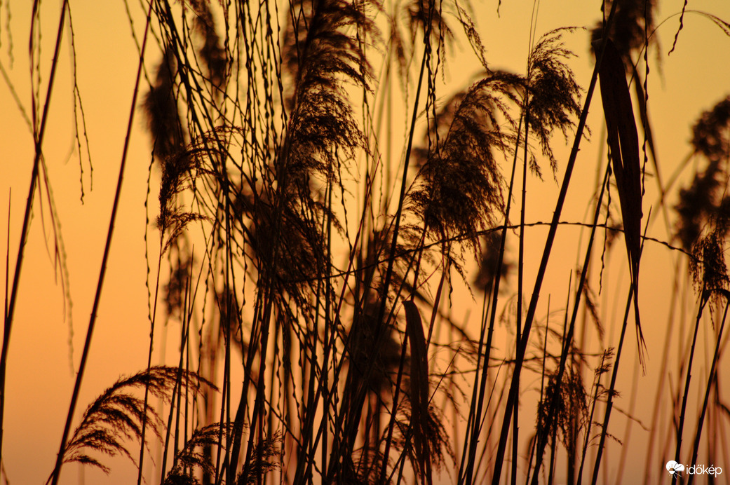 Kis-Balaton