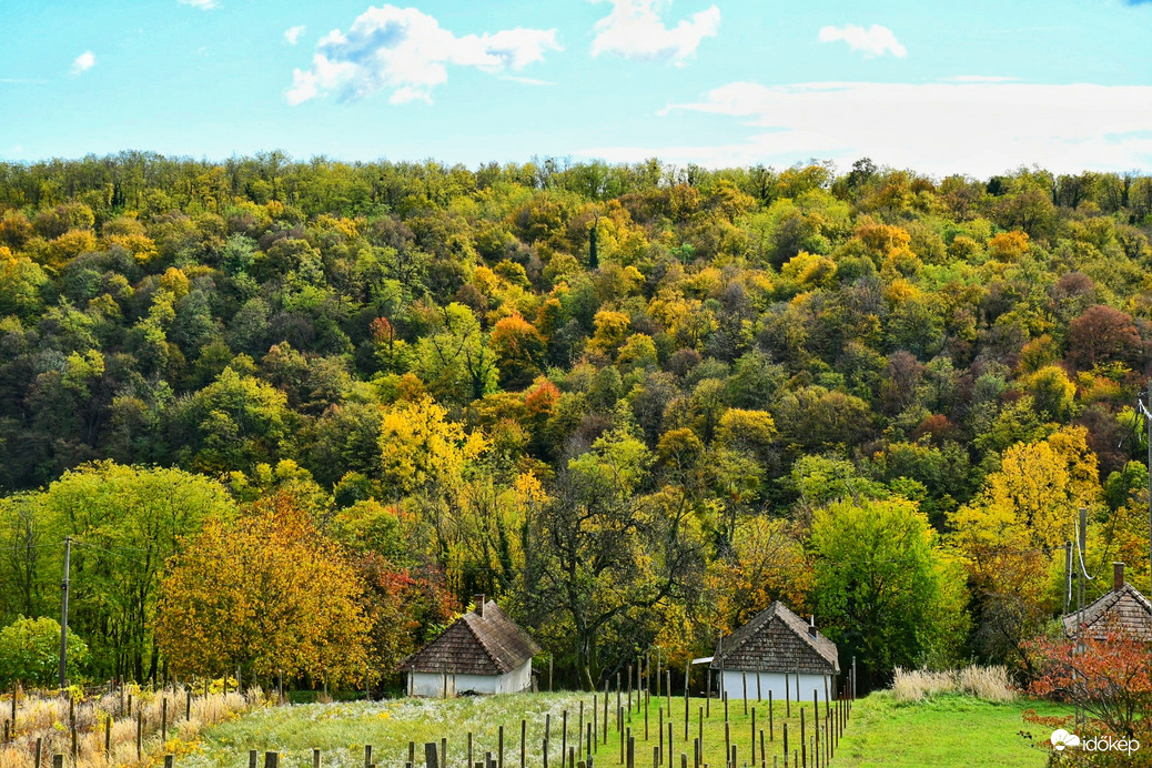 Csodás ősz 