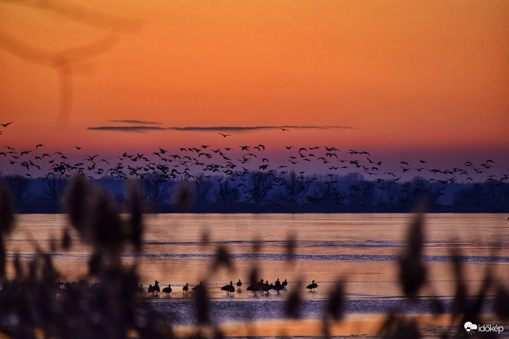 Fagyos reggeli aranyóra 