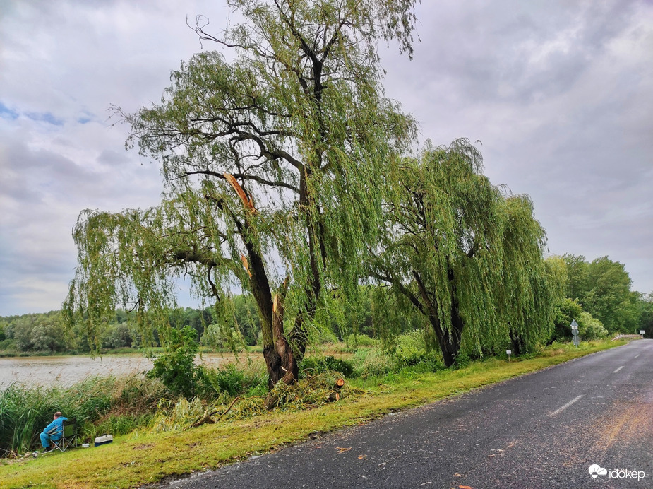 Kis-Balaton sajnos megsínylette....